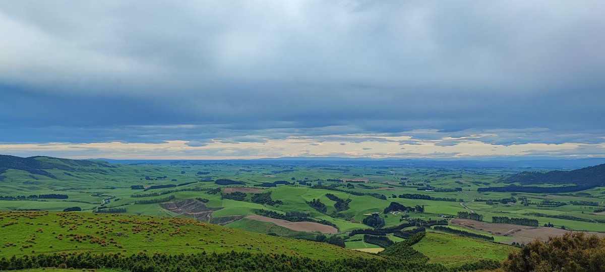 Decentralli tweet media