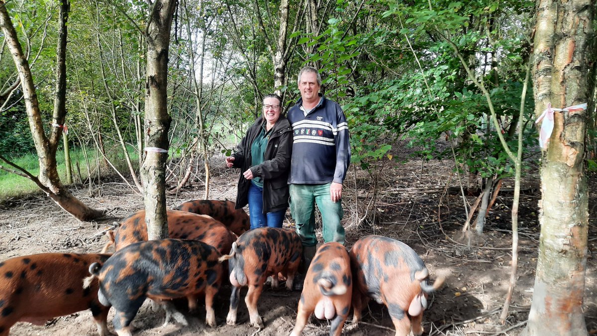 OxfordPig's tweet photo. We are very proud to have dedicated #OSBPork producers who value what they do and take pride from start to finish.  "MEAT" Ryecroft Rare Breeds of Lancashire  #BritishPork #SupportLocalfarmers #SaveGBBacon #Lancashire #Pigproducers #OSBPGCharity #putosbporkonyourfork https://t.co/6dCJhxwmKN
