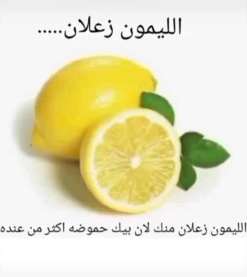 Faroukib9's tweet photo. @Mina11F https://t.co/PdmpnWUv7E