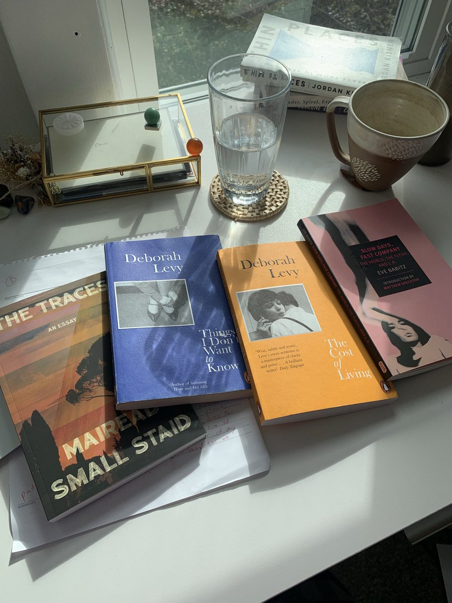 recent purchases to help with thesis writing 🙂🙂🙂 @maireadsmst #deborahlevy #evebabitz