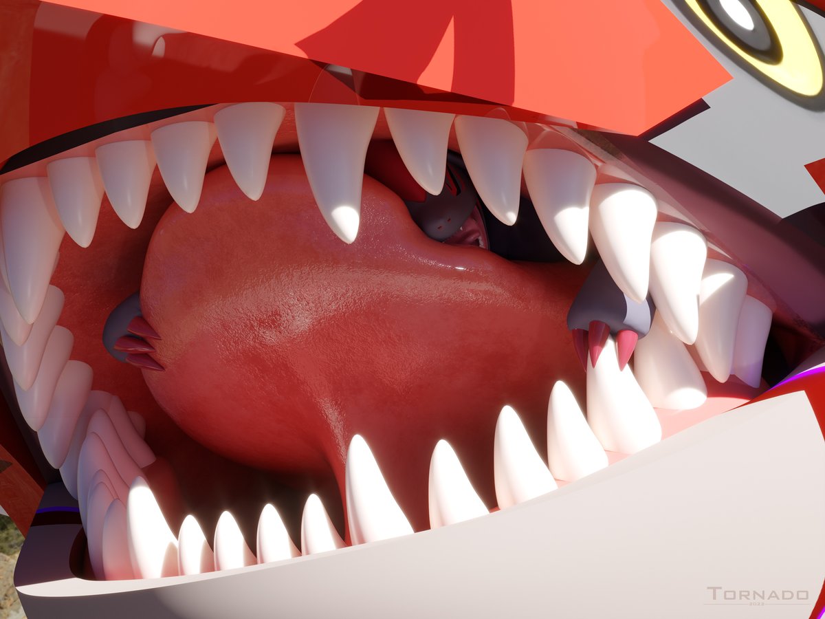 Tornado 💎 tweet media