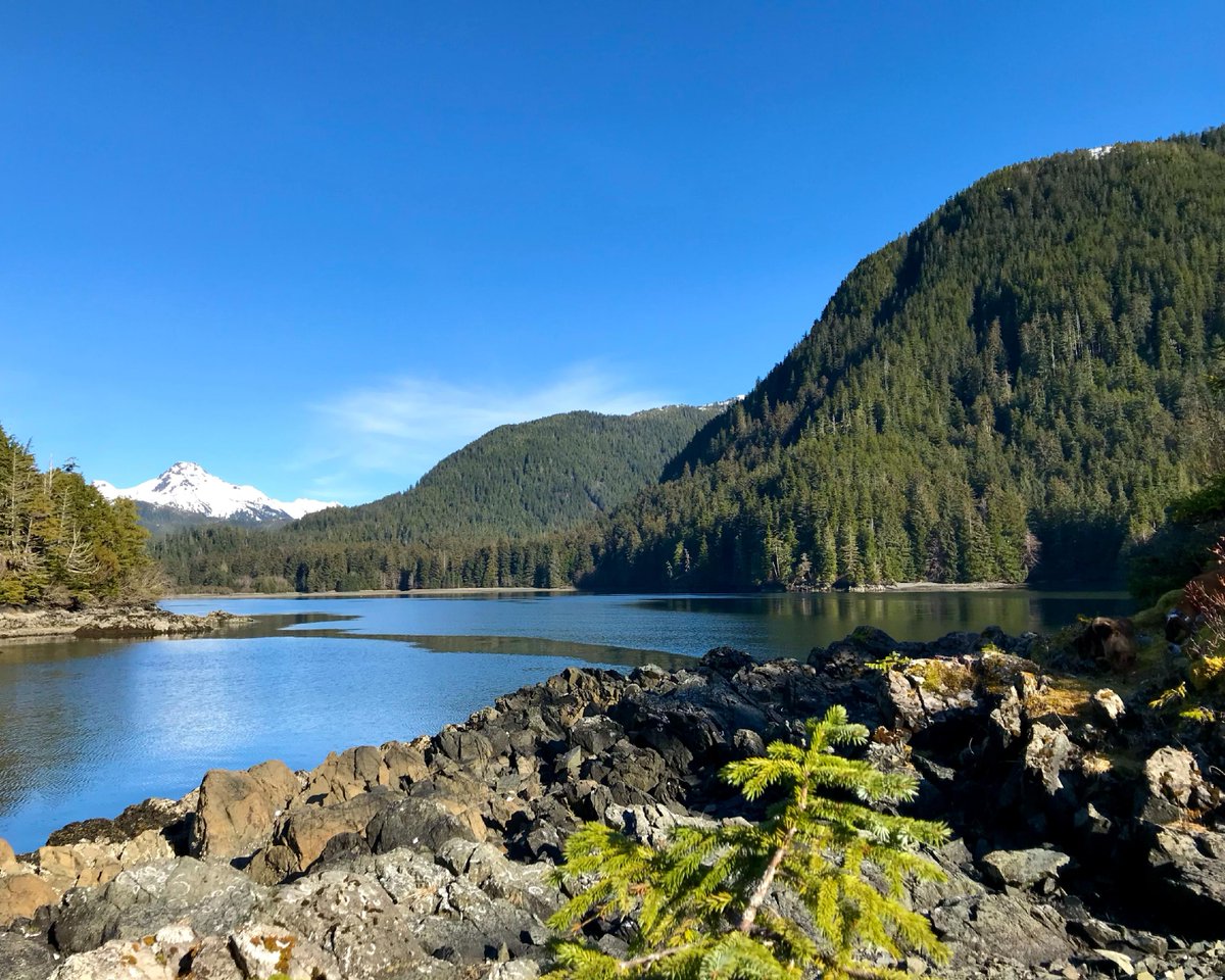 TravelSitka's tweet photo. So many places to explore just outside of Sitka! 

#alaskaadventures  #alaskatravel #sitkathrough4seasons #travelsitka #cloudydays #romanticisinglife #flowers #travelalaska #sitkaalaska #alaska #sitka #southeastalaska #rainforest #sitkasummer #liquidsunshine #seak #harbor #bo... https://t.co/FijxsJbPlc