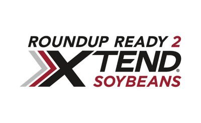 Jeff Nelson tweet media