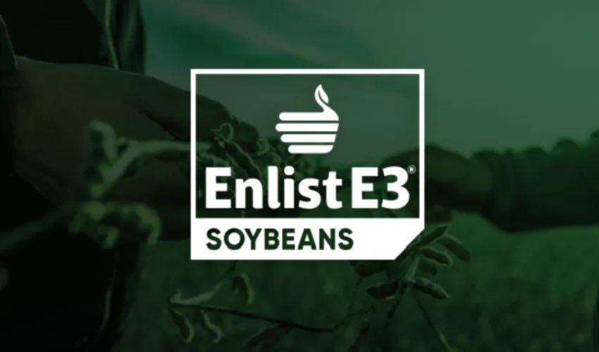 Jeff Nelson tweet media