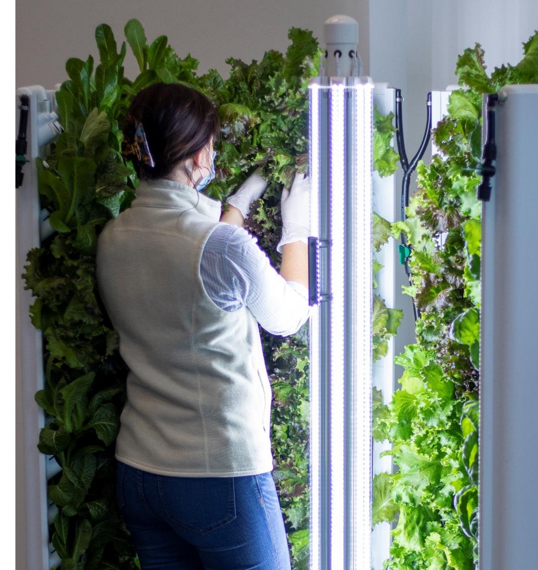 @UnitedHealthcare partnered with <a href="/ForkFarms/">Fork Farms</a> and the <a href="/FoodBankCENC/">Food Bank of Central & Eastern North Carolina</a> to unveil a new hydroponic Flex Farm growing system to grow fresh produce in-house year-round that will be distributed to families in need, helping to address food insecurities.