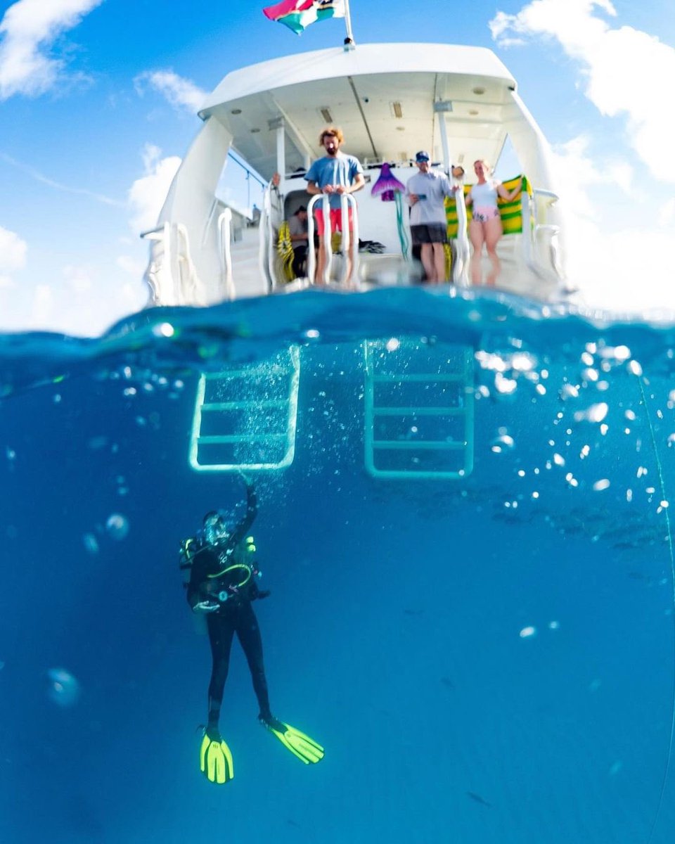 How cool is this photo?💙
📸: @pamleblancadventures 
.
.
.
.
#TurksAndCaicos #TCI #SisterIslands #Paradise #Caribbean #Vacation #BeautifulByNature #WeAreTurksAndCaicos #WhyILoveTurksAndCaicos #DreamDestination #Cruise #Providenciales #Diving #Scuba #Snorkel #yacht
￼