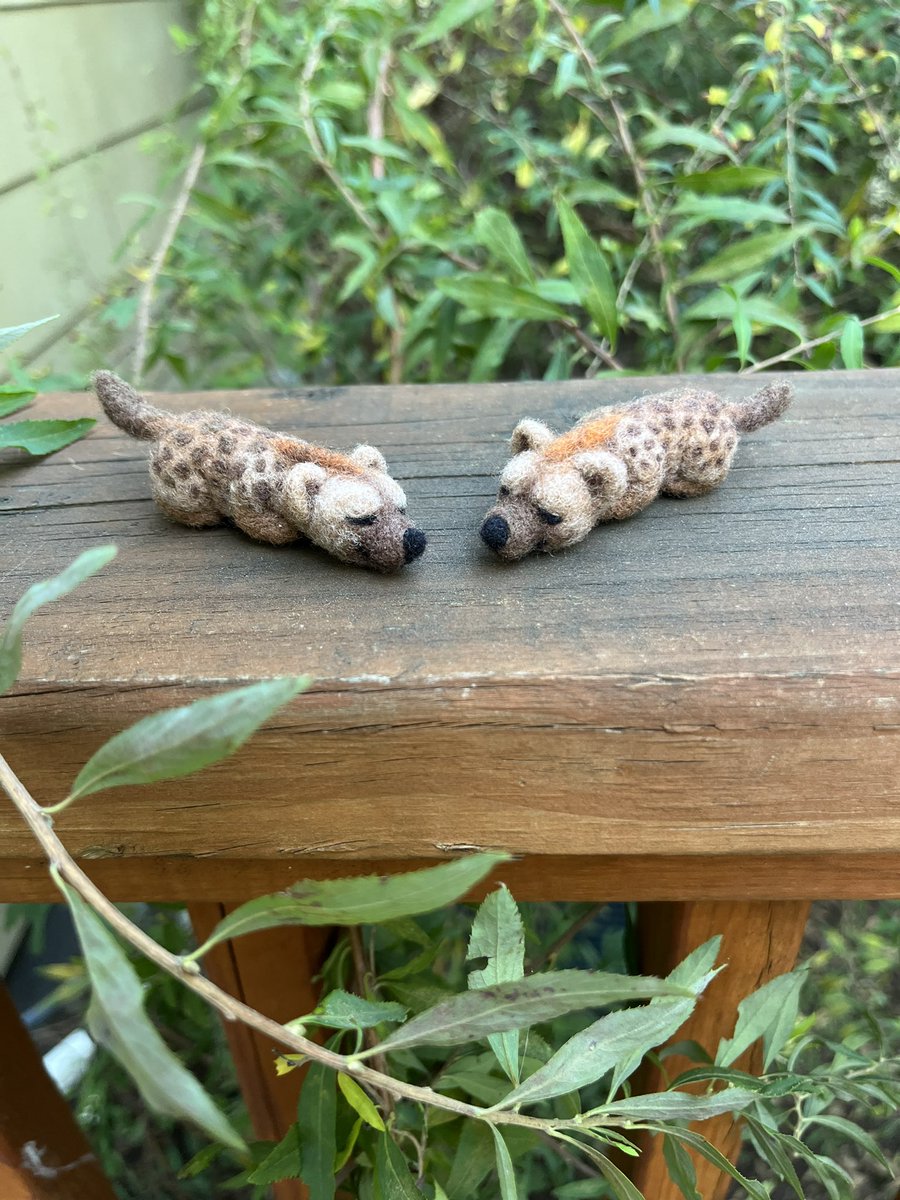 WULFGRRRL's tweet photo. teeny ‘yeeny beanies https://t.co/Y0OiBxnq82