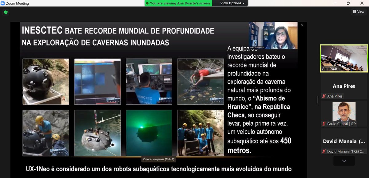 Ana Pires tweet media