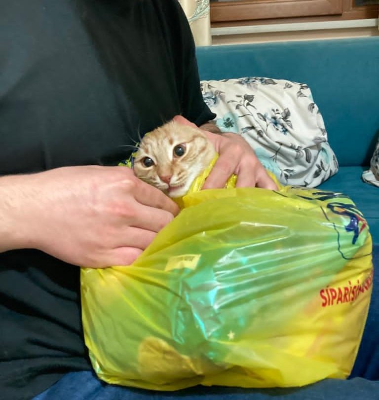 Çıkmış diye girdigim sınavın çıkmış olmadığını görünce sınav kağıdına yansıyan eşgalim