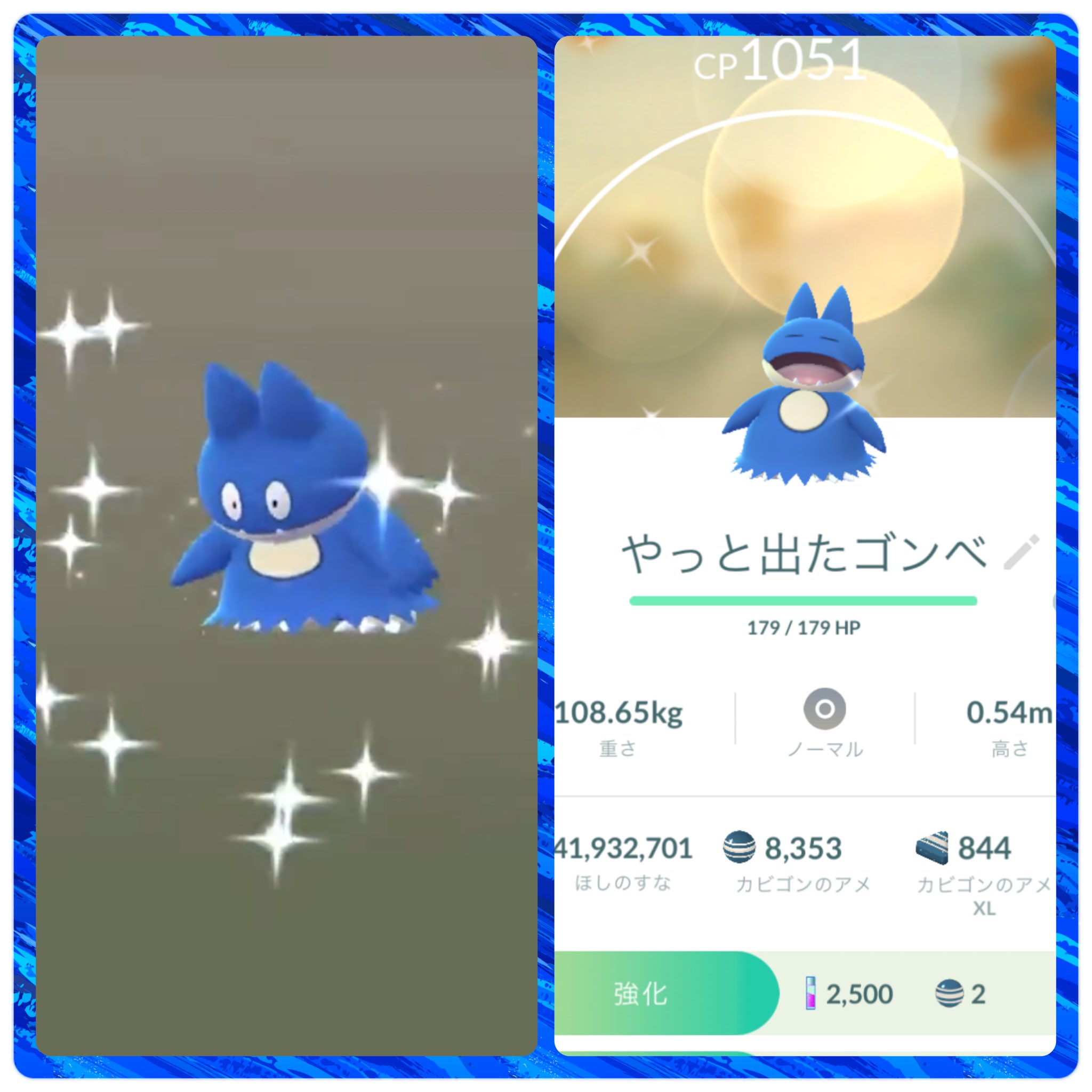 色違いゴンベ Twitter Search Twitter