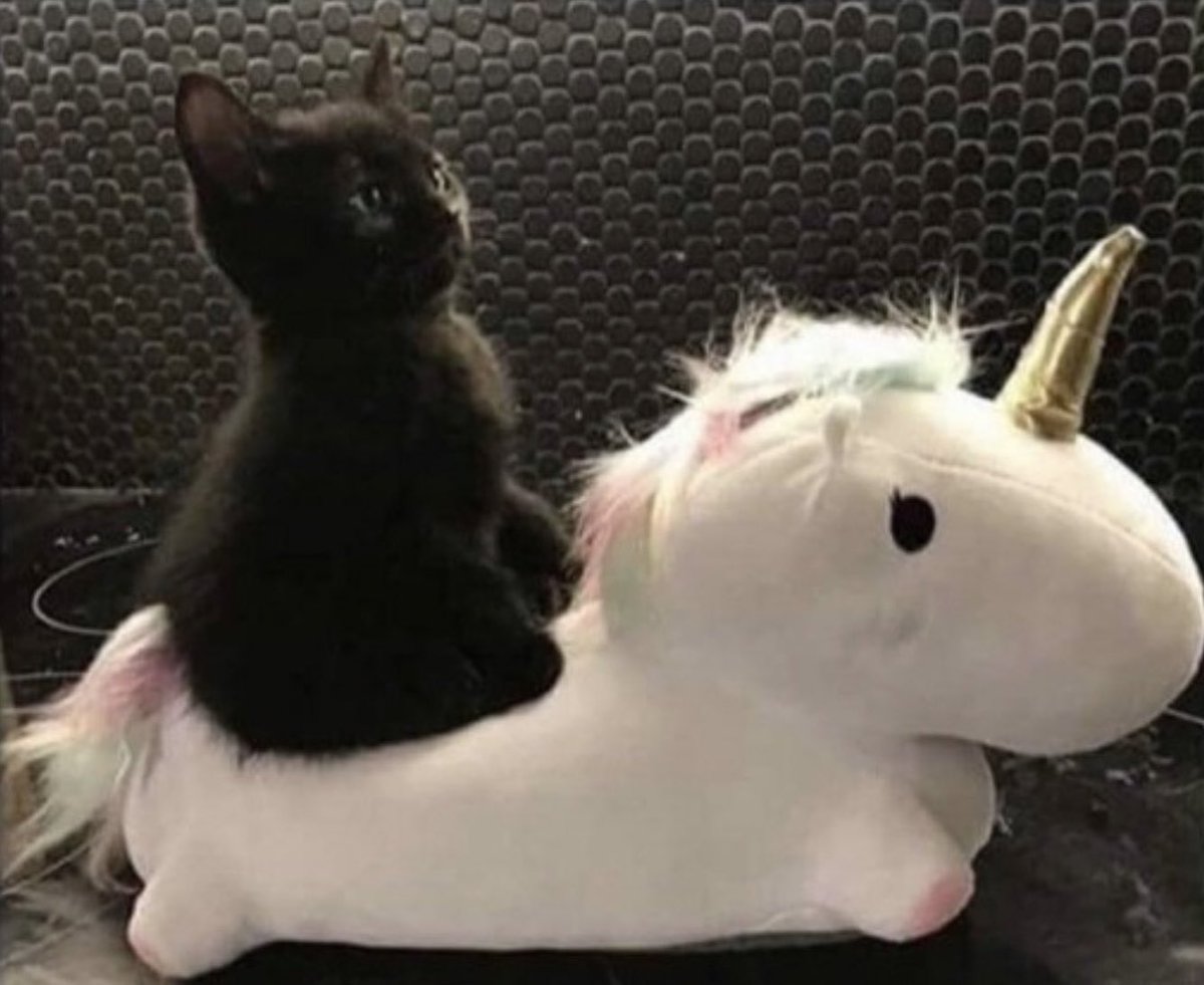 D Attenborough tweet media