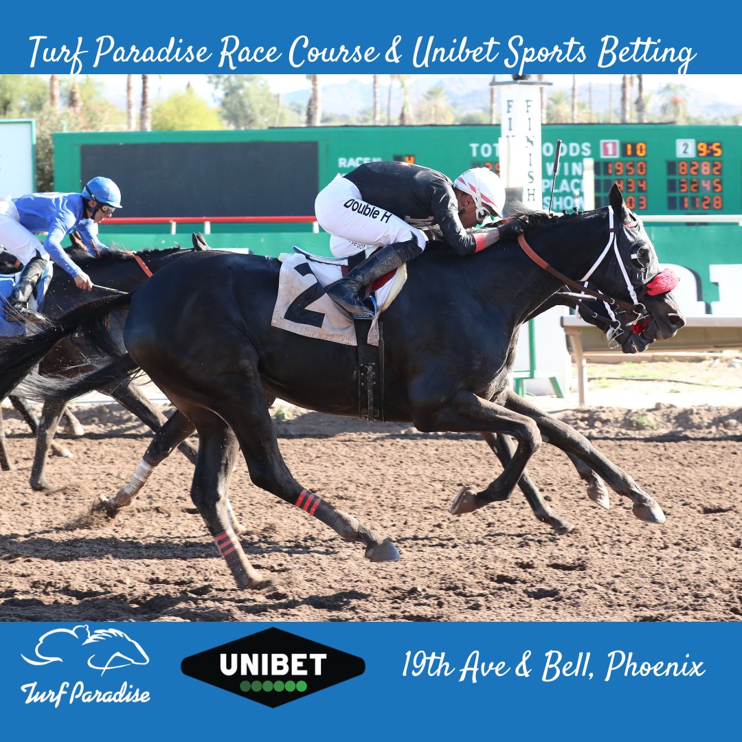 turf_paradise's tweet photo. T BONES TRICK wins the Rob Rosette Memorial at Turf Paradise.
November 15, 2022.
Purse $22,400
One Mile  1:38.00
Tony Bartscher, Owner
Wade Rarick, Trainer
Harry Hernandez, Jockey
Photo by @CoadyPhoto 
#horseracingtips
#horseracingbets
#horseracingworld
#horsesaremylife https://t.co/ONDfn45S13