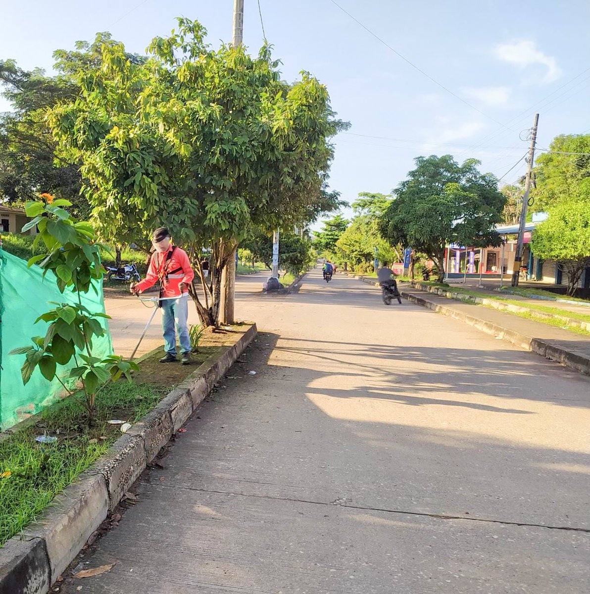 AlcaldiaLorica's tweet photo. Por nuestros parques: los Héroes Ambientales 🌻 adelantaron mantenimiento, limpieza y aseo en la Avenida del Estudiante, vía estratégica para descongestionar la Av. Bicentenario y proteger vidas de transeúntes y conductores. #Vamosalparque #ParquesparalaGente #CompromisoconLorica https://t.co/aBiDaimue2