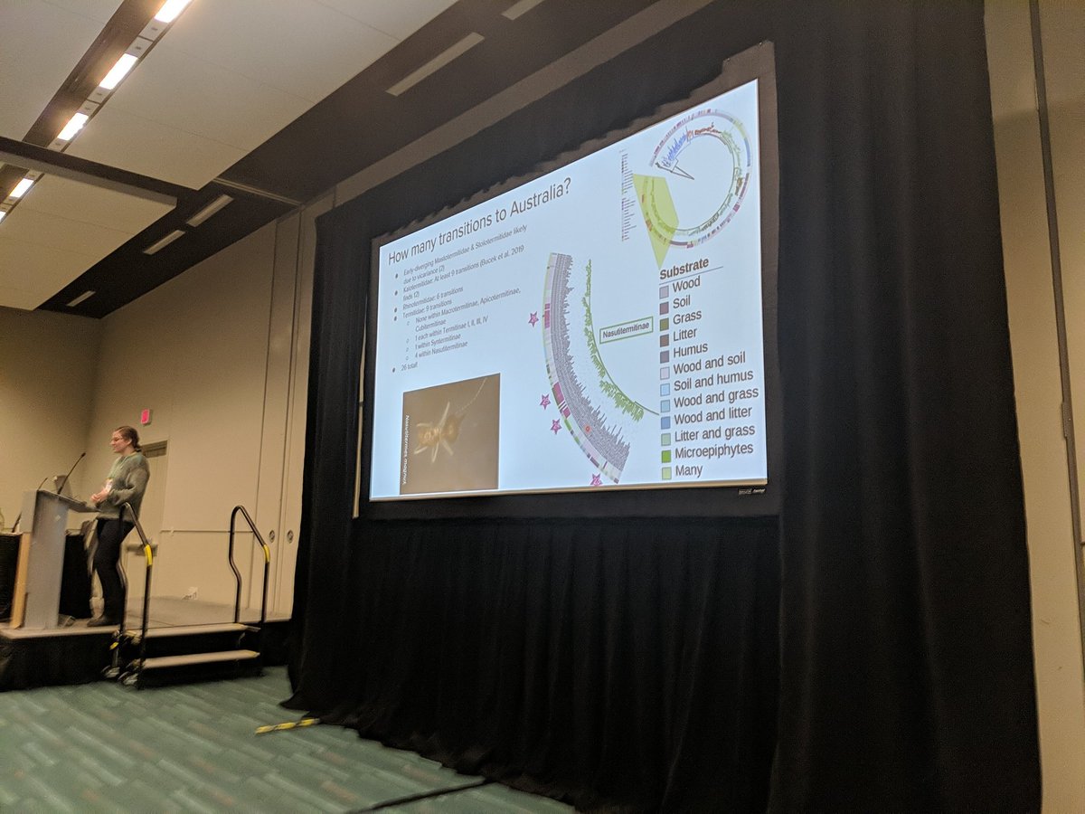 Samantha Standring tweet media