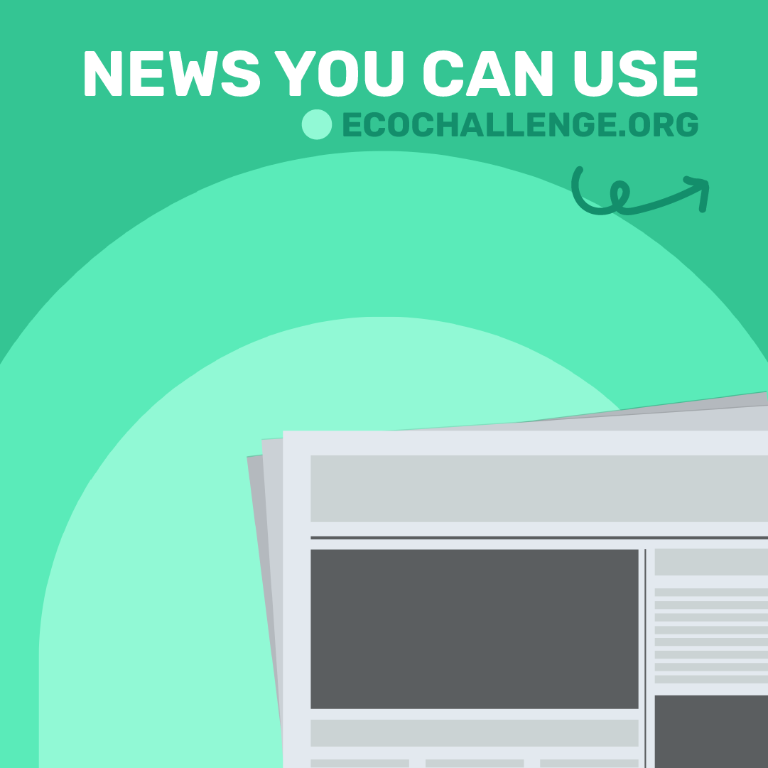 Ecochallenge.org tweet media