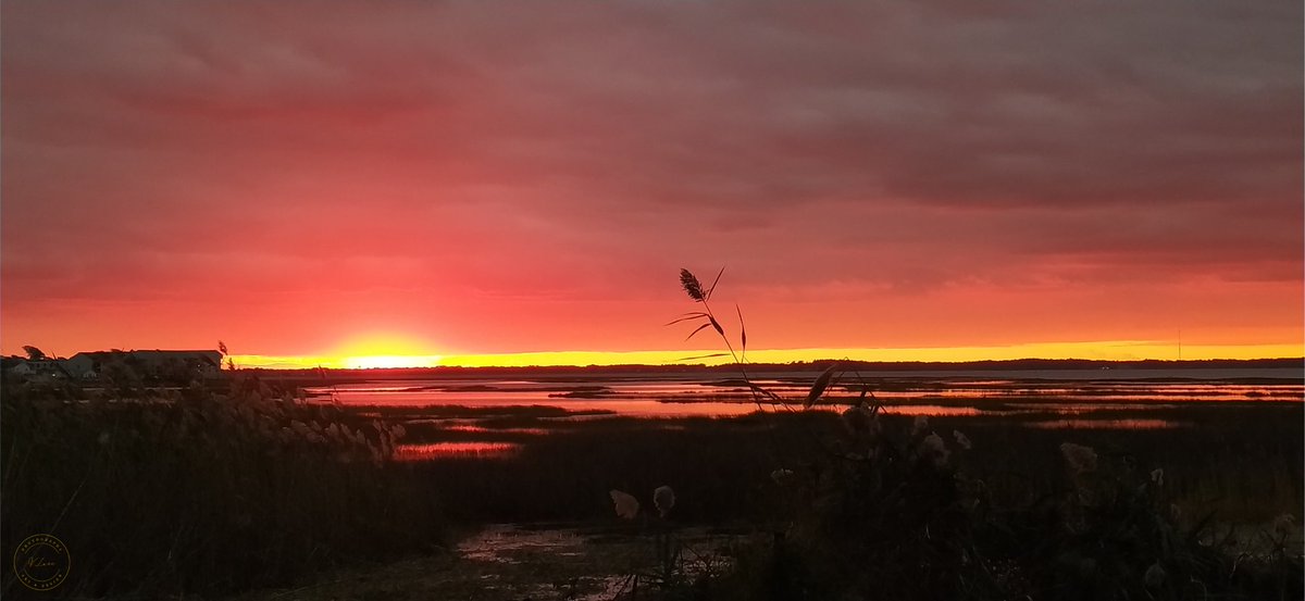 v_insight25's tweet photo. "Sunset in my backyard"
.
.
#Photography #photographer #lamonomagazine #writerscomunity🍁 #sunsets #ocmd #art https://t.co/2SAiHozJbW