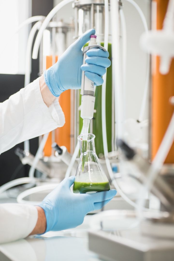 [NOUVEAU PARTENARIAT] <a href="/ChaireBiotechCS/">Chaire de Biotechnologie</a>  #Bioréa #groupeAgrial avec le soutien <a href="/Bpifrance/">Bpifrance</a>  (appel "Besoin alimentaire de demain") pour renforcer la compétitivité de la production de microalgues.
➡️linkedin.com/posts/chaire-b…