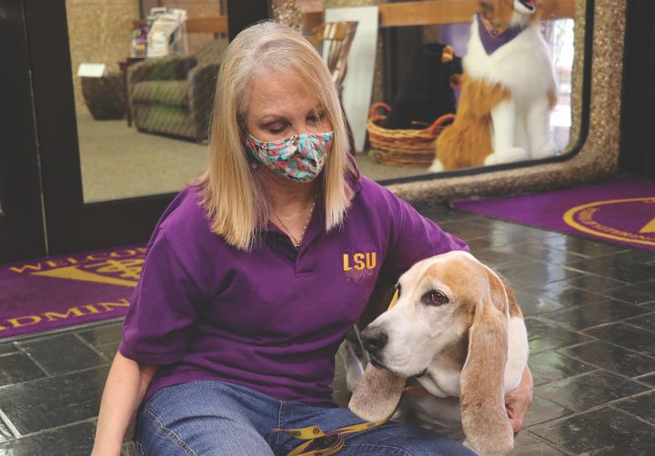 Tweet by LSU Veterinary Med