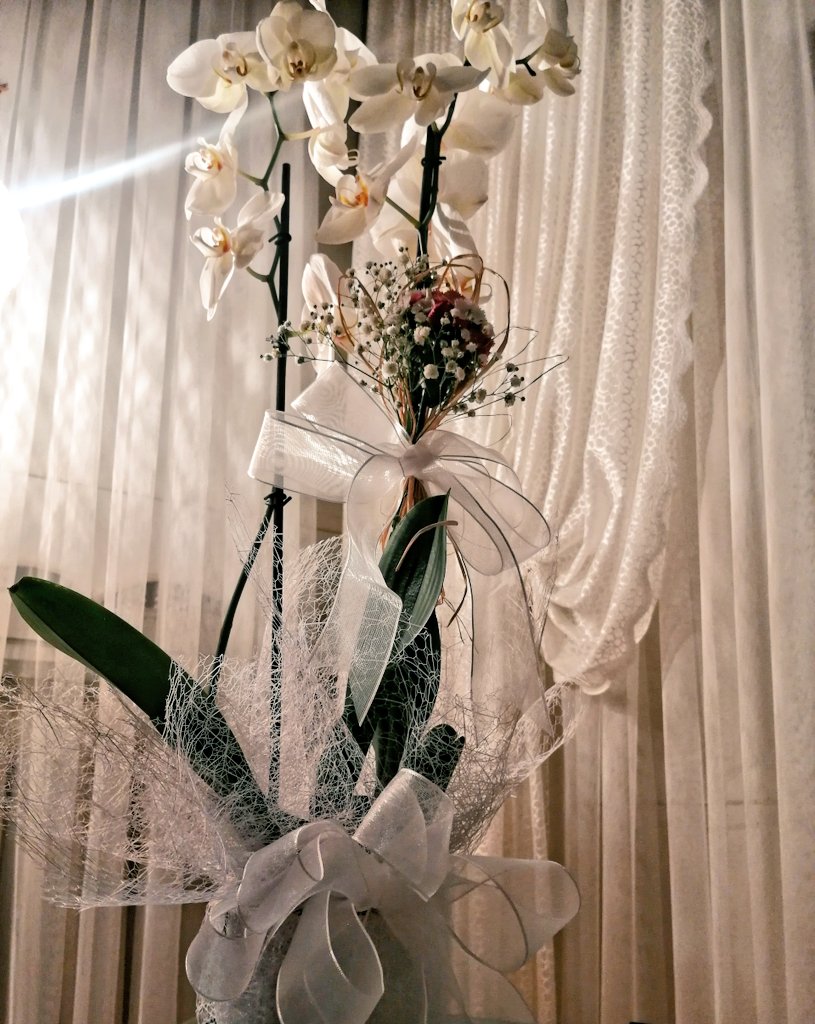 Adım adımm🐾❤️