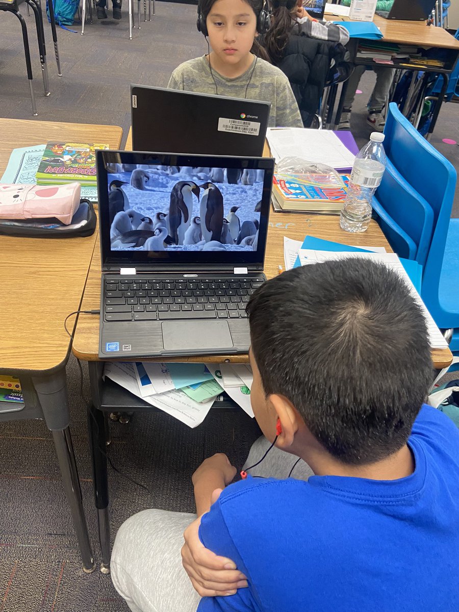 CampiMrsBuckner's tweet photo. 3rd grade TAP Writing is off to an amazing start!  Before you can write about an animal’s life cycle, you must research!  Look at all those notes!  Can’t wait to get started on these papers! #54ELWriters #teamcampi https://t.co/Q09VXV7dqH