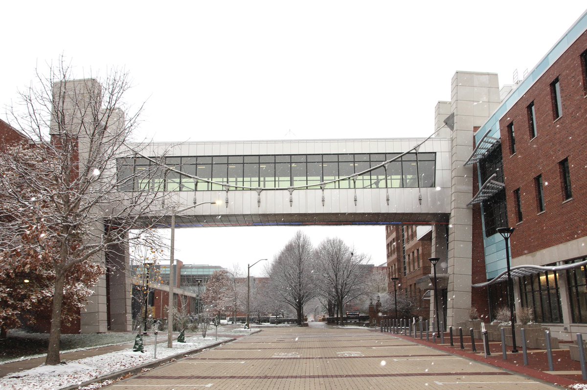 Happy first snow! ❄️☃️
