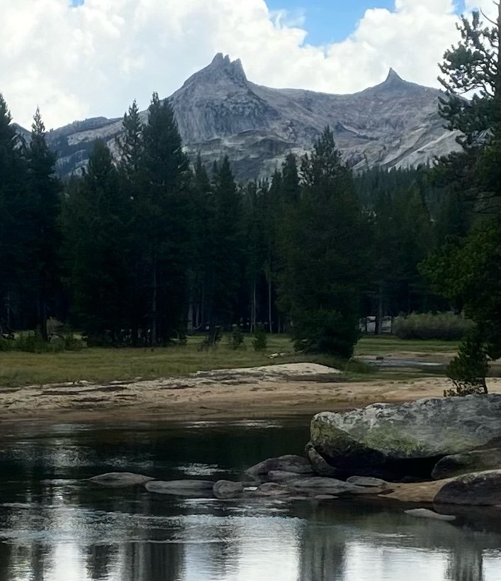 My backyard and I am one happy guy