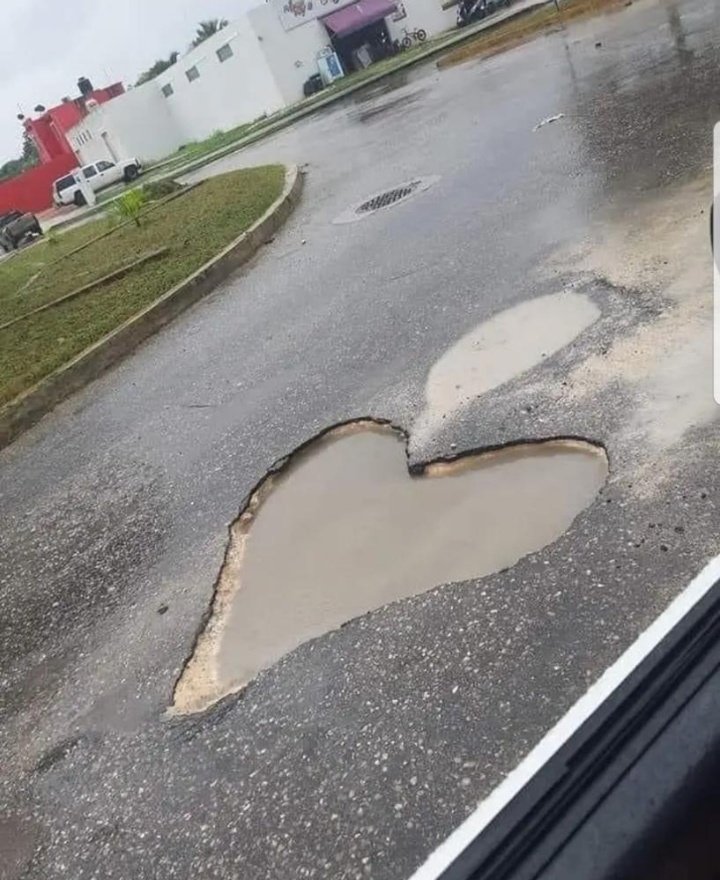 Todos hemos caído en el bache del amor 🥲💔
