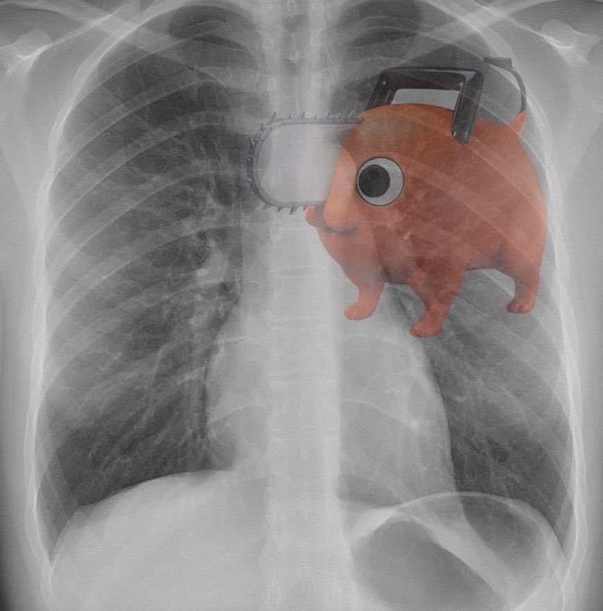 Denji when Makima told him she would do ANYTHING if he killed the Gun Devil