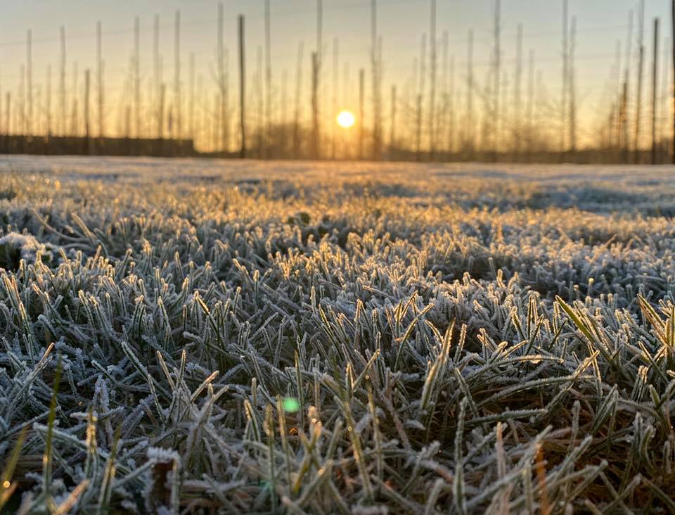 ACGoatham's tweet photo. 🍎 Did you know British apple orchards require a minimum of 820 hours at temperatures below 7.2C, to help the new fruit and leaf buds to develop throughout the Spring 🍎
https://t.co/L3pWfJBTBx
#farmingfact #didyouknow #farming #growing #apples #buybritish #orchards #winter https://t.co/jkkAAJOpWK
