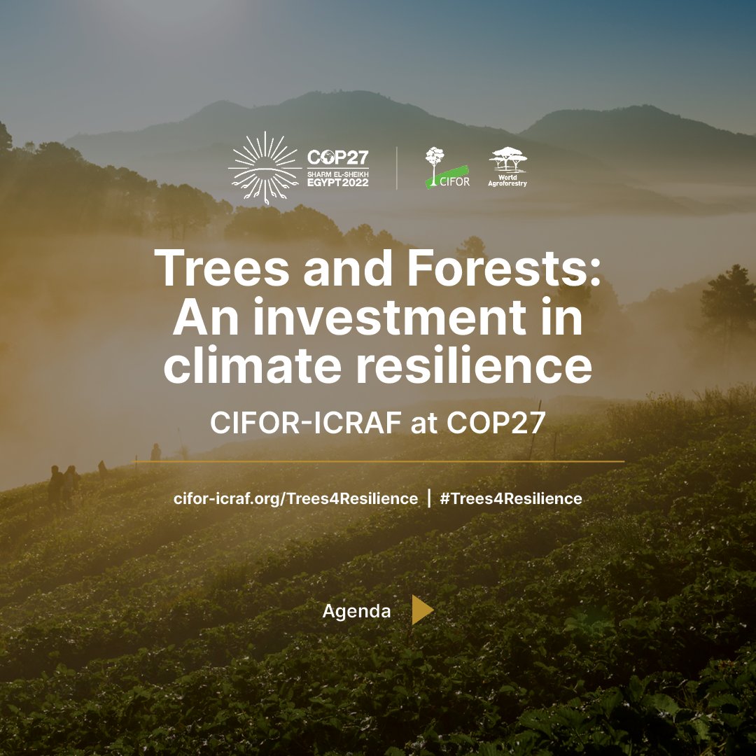 TheLandAlliance's tweet photo. 🌳 Day 9️⃣ | @CIFOR-ICRAF at #COP27
Lots of informative sessions by amazing speakers from around the globe. 🌎
Join us!
See our full session line-up: 👉 https://t.co/PTJ7blJUVp
#Trees4Resilience #Together4Implementation https://t.co/XuIWFgbzYL