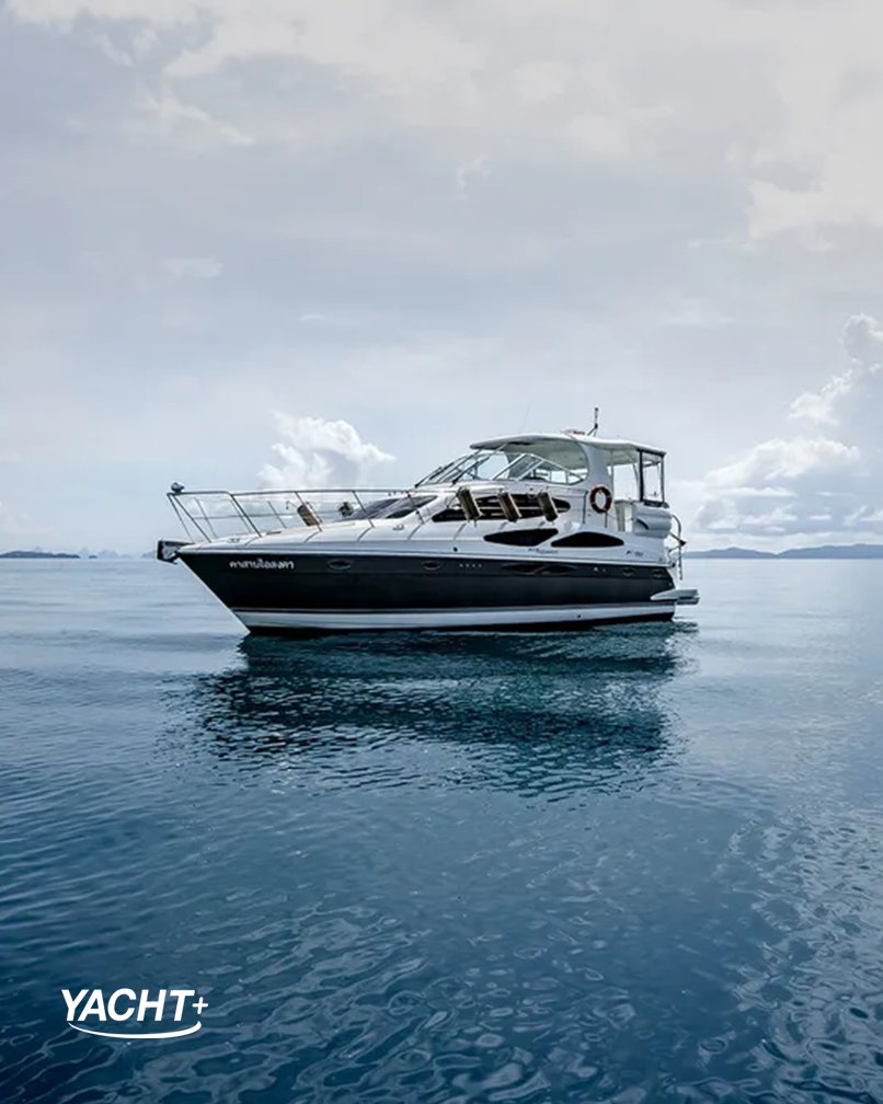 TheYachtPlus's tweet photo. Cruisers 415 Express now available for charter via our Yacht+ app. Located in Thailand, it is built at 42ft and able to accommodate 12 guests!

Charter yours today: https://t.co/tsZhJH2sIv 

#YachtPlus #Yachting #YachtCharter #Chartering #YachtLife #LuxuryYacht https://t.co/DkdbKXvlRy