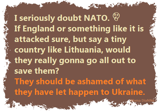 DianneHaas11's tweet photo. Made this meme months ago - I wonder is Poland an important enough country? #NATO  #NATOCloseTheSkiesOverUkraineNow #NATOarticle5  #SlavaUkraini #PutinMustFail #PutinIsaWarCriminal #RussianUkrainianWar #RussiaIsATerroristState https://t.co/3WpXICChzi