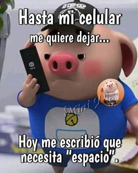 alecsr2076's tweet photo. @ElizaMarroqun1 https://t.co/FUTN1IPuM3
