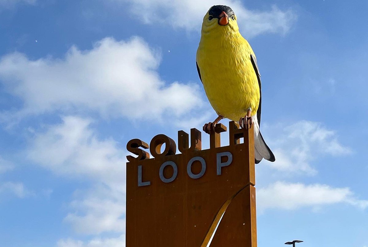 SouthLoopMN tweet picture