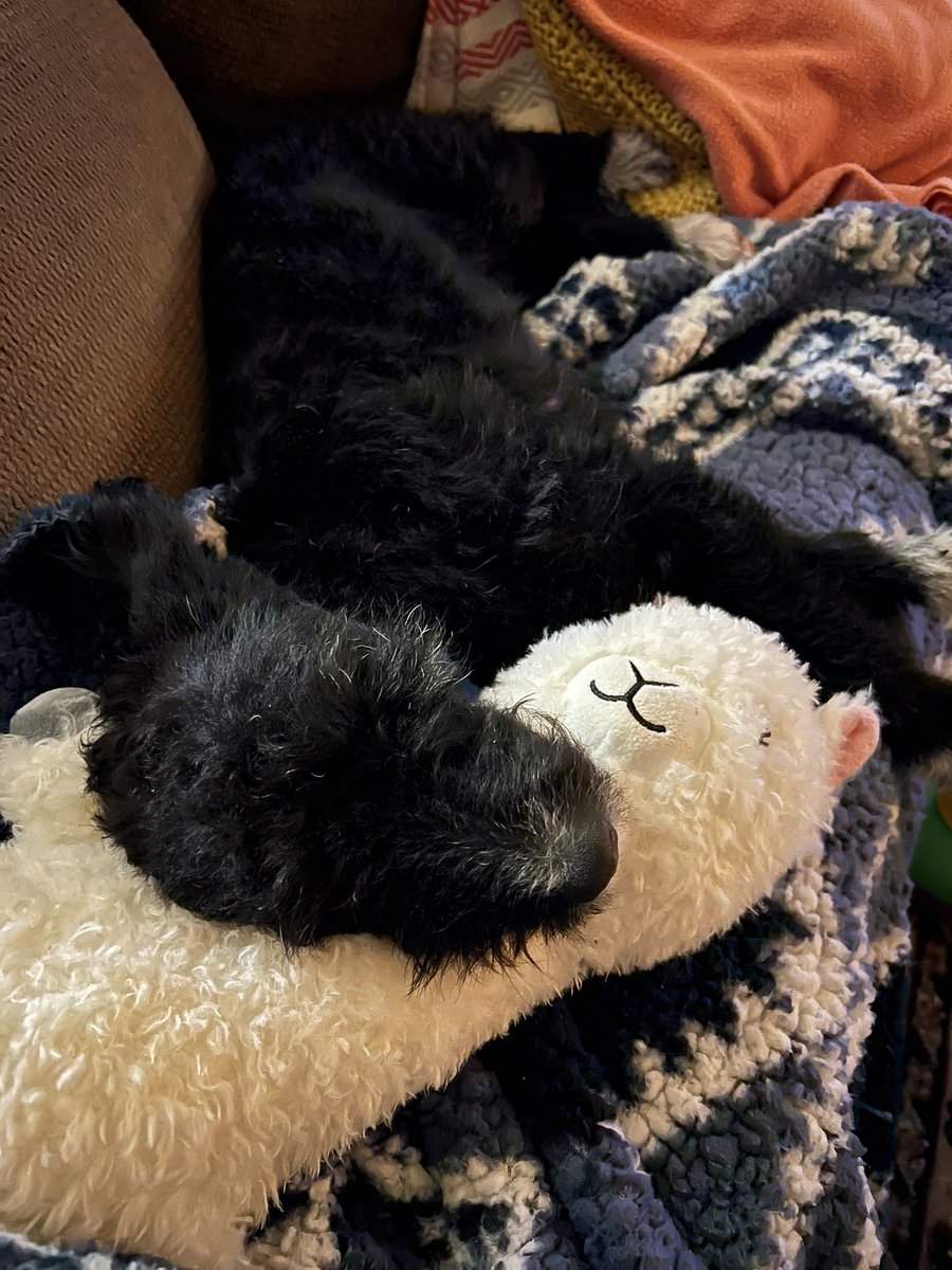 JordanMKiley's tweet photo. @darth Ready for the weekend https://t.co/U9rCdZn4jD