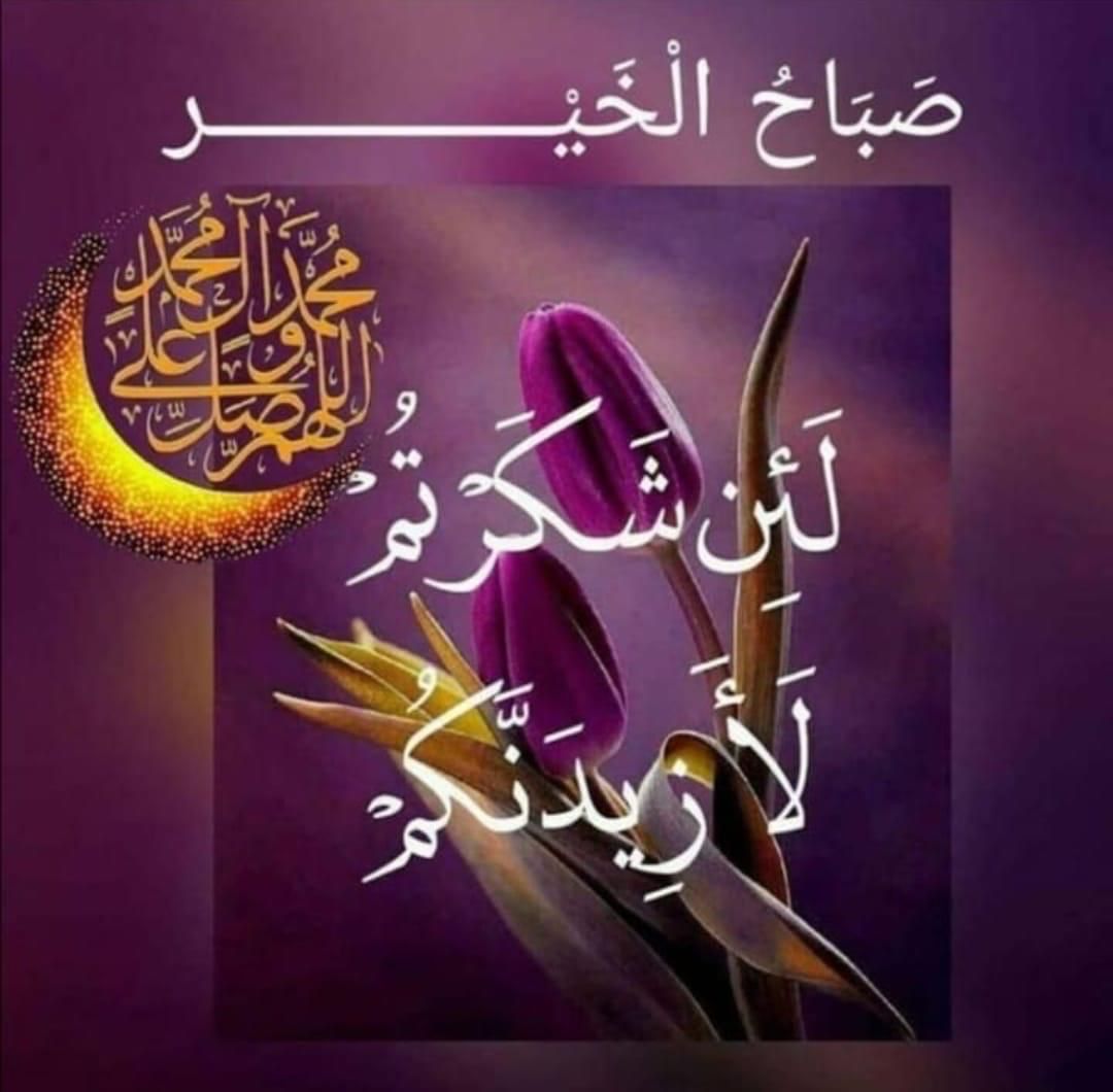 شبكة الزبير الرسمية tweet media