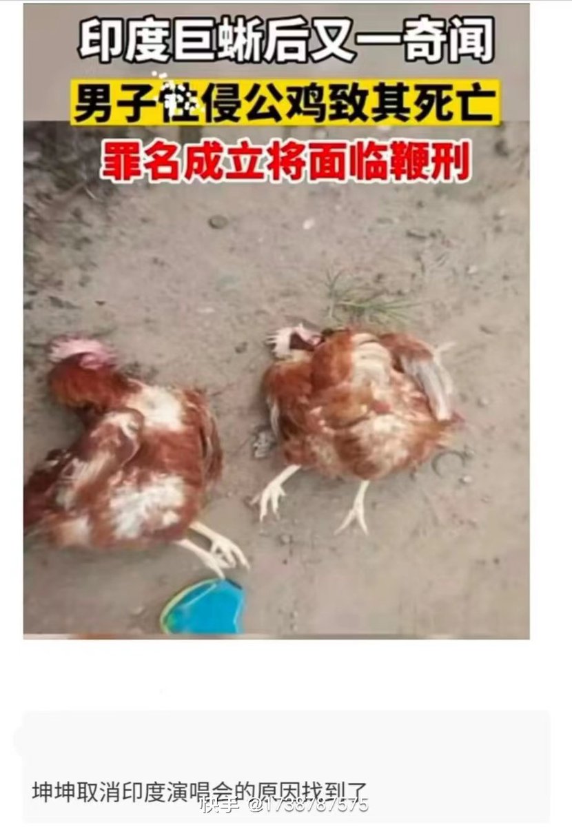 圣嘉然 tweet media