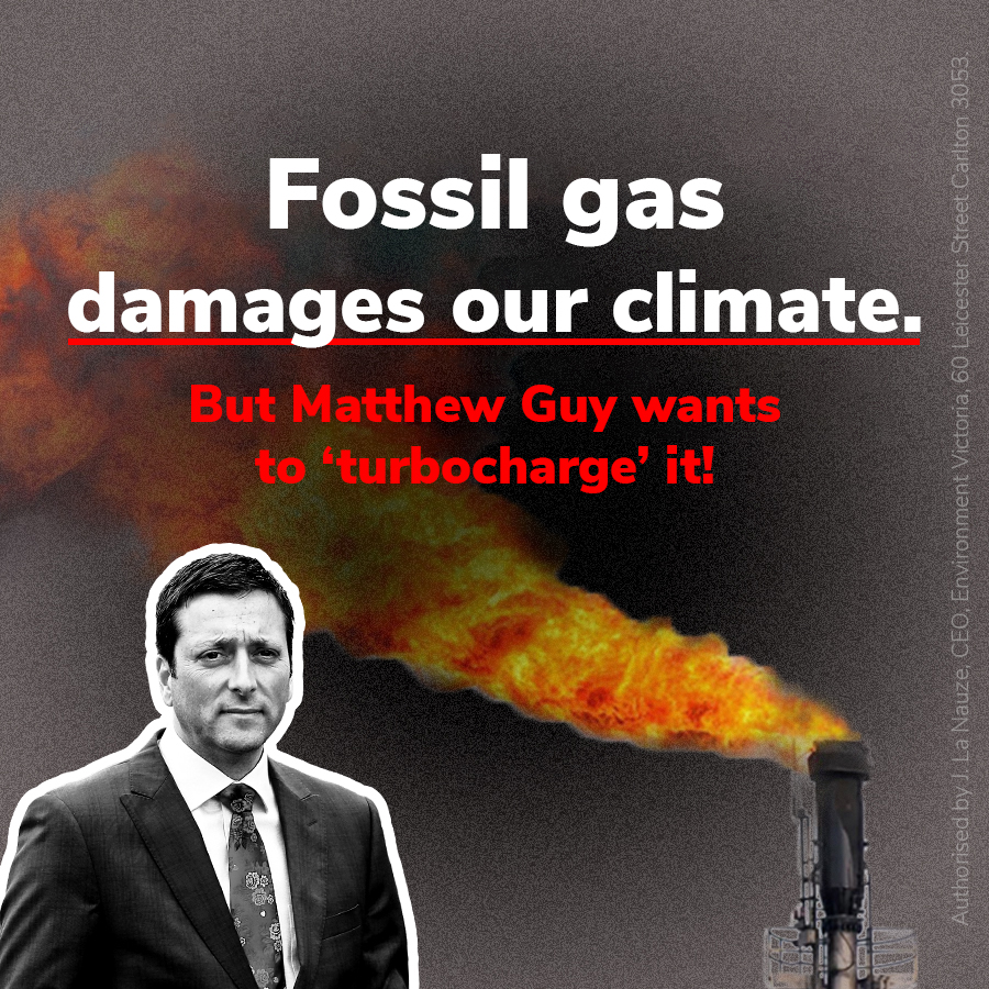 Gas is responsible for 16% of Victoria’s carbon pollution. The more we burn, the more we damage our climate.

But Matthew Guy has said he wants to “turbocharge gas production”!

[THREAD]