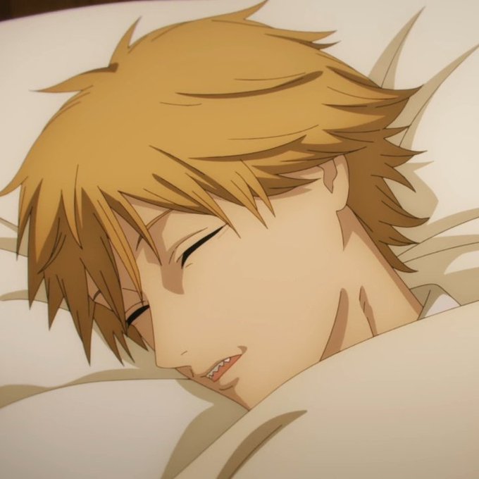 I honestly love the fact that Denji and Power are the only ones who don't go insane in some way under these circumstances because they're too stupid to comprehend it 