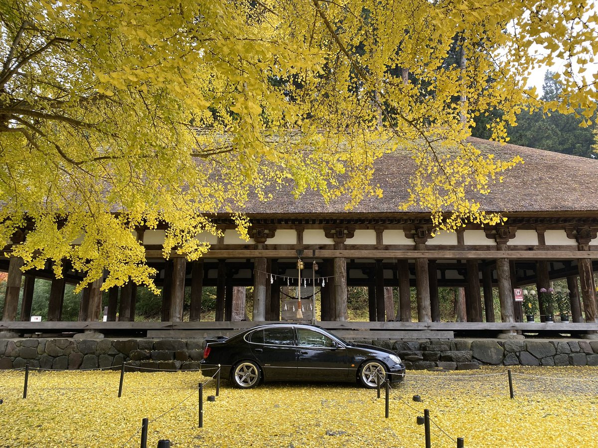 tt_5050_aristo's tweet photo. #大銀杏
#長床
#新宮熊野神社
#喜多方
#福島県
#aristo161
#v300
#VertexEdition https://t.co/rMxV8aRdIS