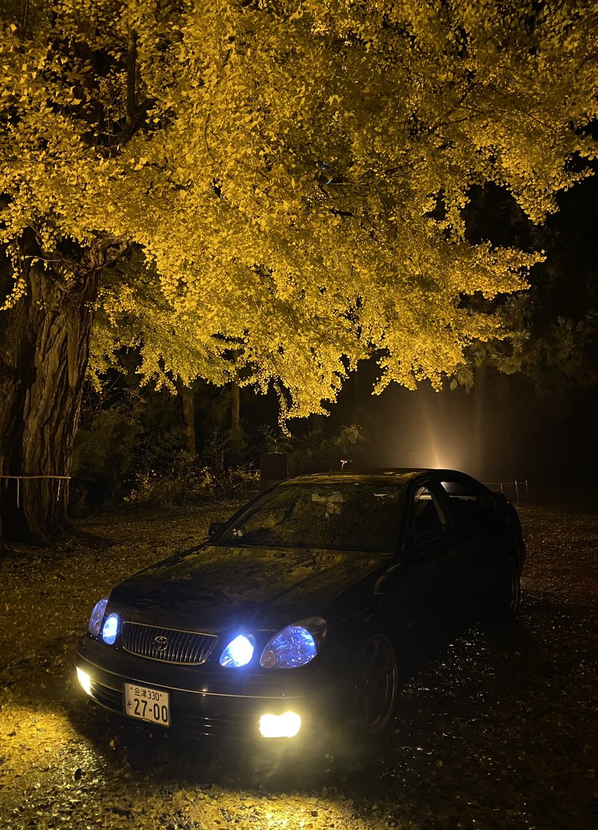 tt_5050_aristo's tweet photo. #大銀杏
#長床
#新宮熊野神社
#喜多方
#福島県
#aristo161
#v300
#VertexEdition https://t.co/rMxV8aRdIS