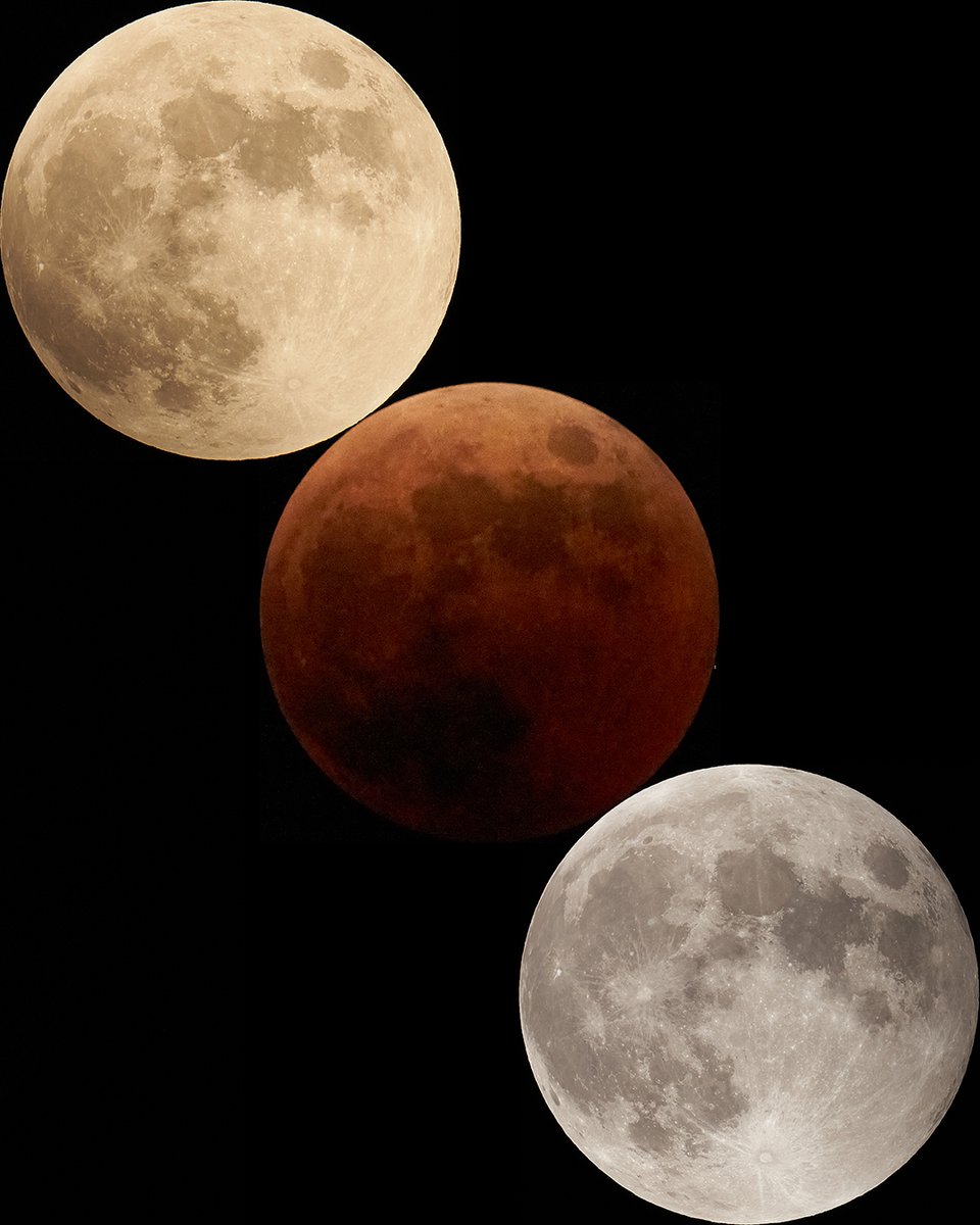 sthrs's tweet photo. 先日の撮影した皆既月食をやっと現像🌝🌗🌚 https://t.co/T1cYhxiZ9X