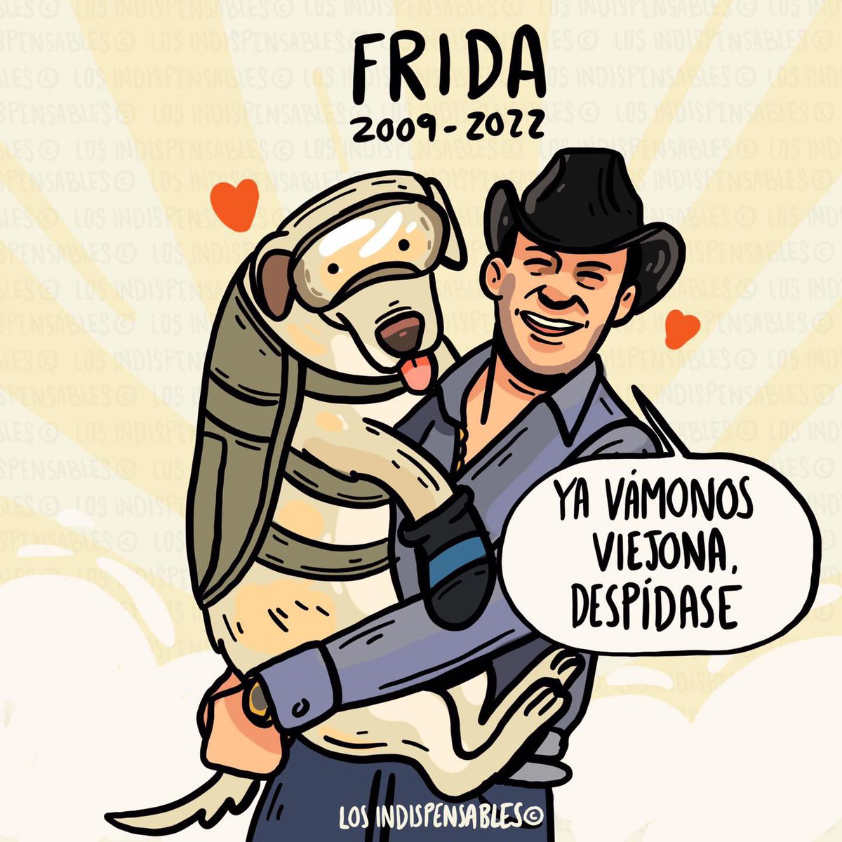 losIndispensab2's tweet image. Adiós Frida, adiós vaquera! 

#Frida #perritarescatista #Mexico