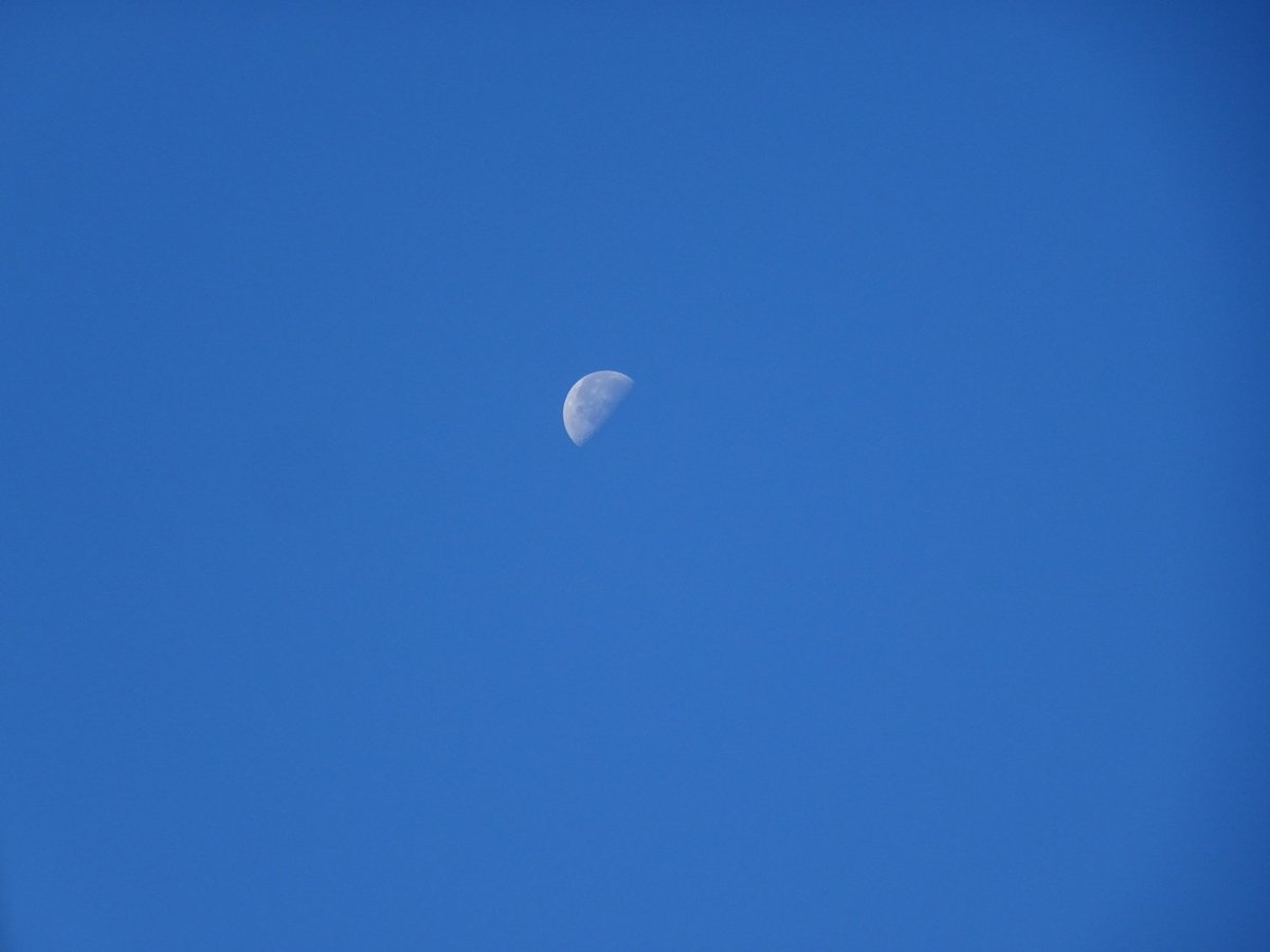 nekometer_kuro's tweet photo. 雲ひとつ無い青い空に白い月
おはようございます。 https://t.co/FZ6DkijsPM