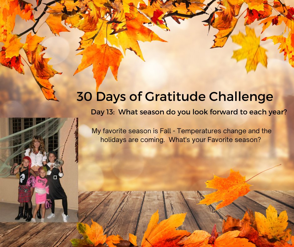 Navarre_Agency tweet picture