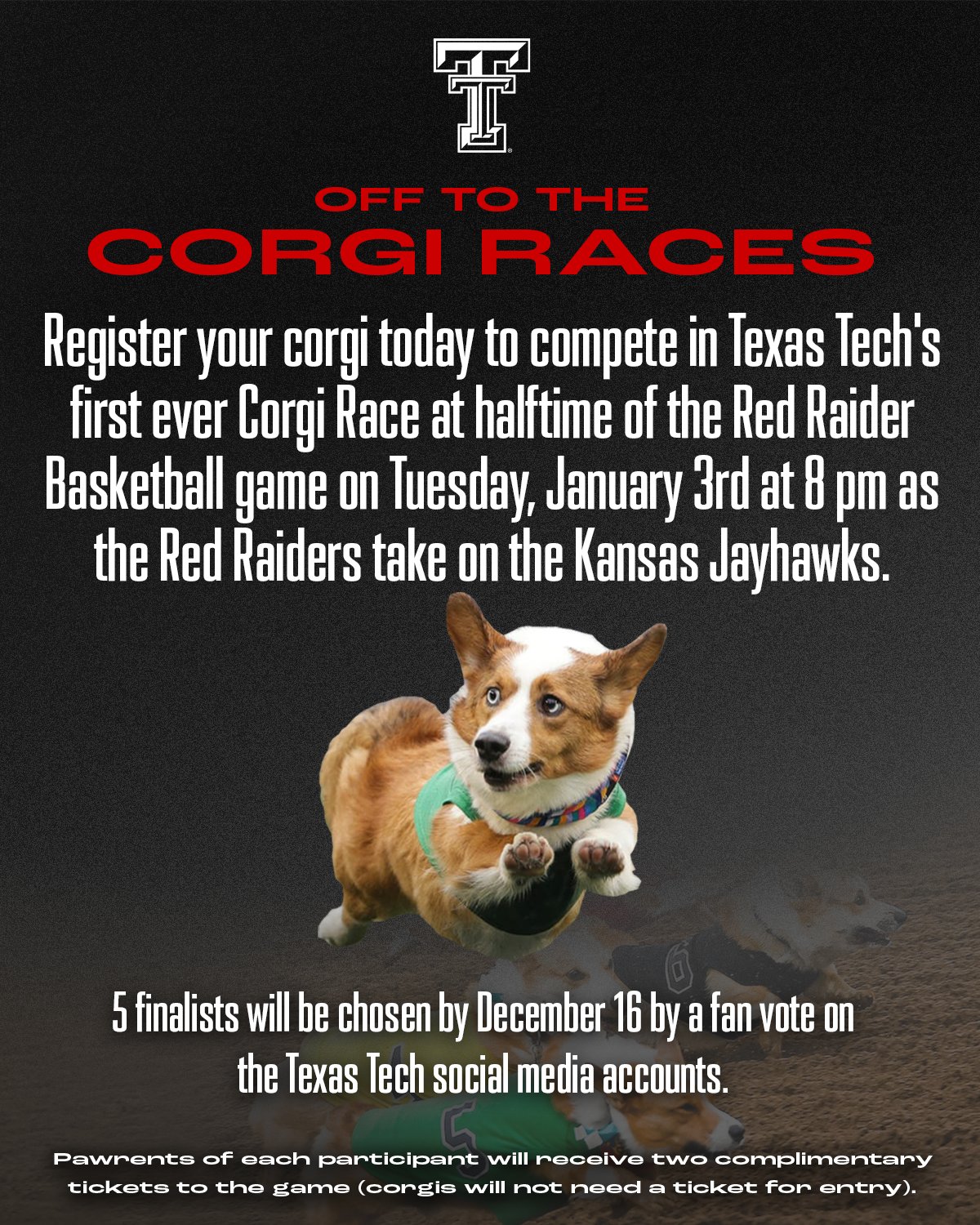 Texas Tech Red Raiders on X: Two words: 🏁 CORGI RACE 🏁 Enter your corgi  to compete at halftime of the @TexasTechMBB game on Jan. 3, and stay tuned  as we hold