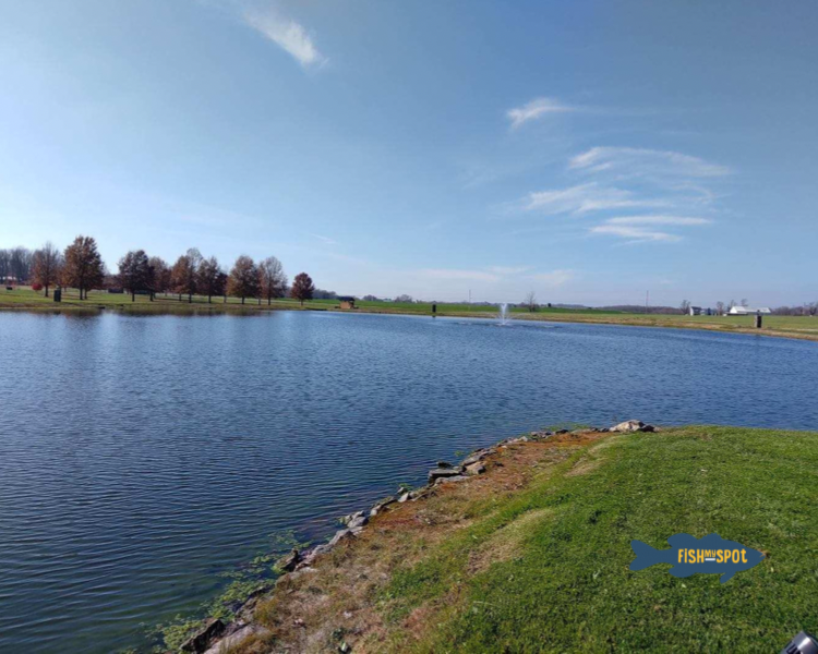 Amanda checked out our pond in Louisville, Ohio. They caught some large bass and bluegill. It is beautifully maintained. #pondfishing #fishforbass #fishingislife #fishing #bassfish #bassfishing #ohiofishing #starkcounty #gofish #gofishing