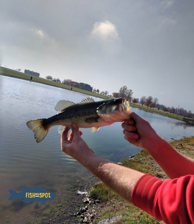 FishMySpot's tweet photo. Amanda checked out our pond in Louisville, Ohio. They caught some large bass and bluegill. It is beautifully maintained. #pondfishing #fishforbass #fishingislife #fishing #bassfish #bassfishing #ohiofishing #starkcounty #gofish #gofishing https://t.co/pH291vC3LV
