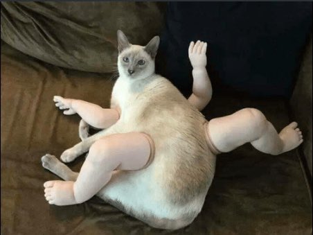 dumpasses's tweet photo. @frightbaby https://t.co/uAYhoy3EMe
