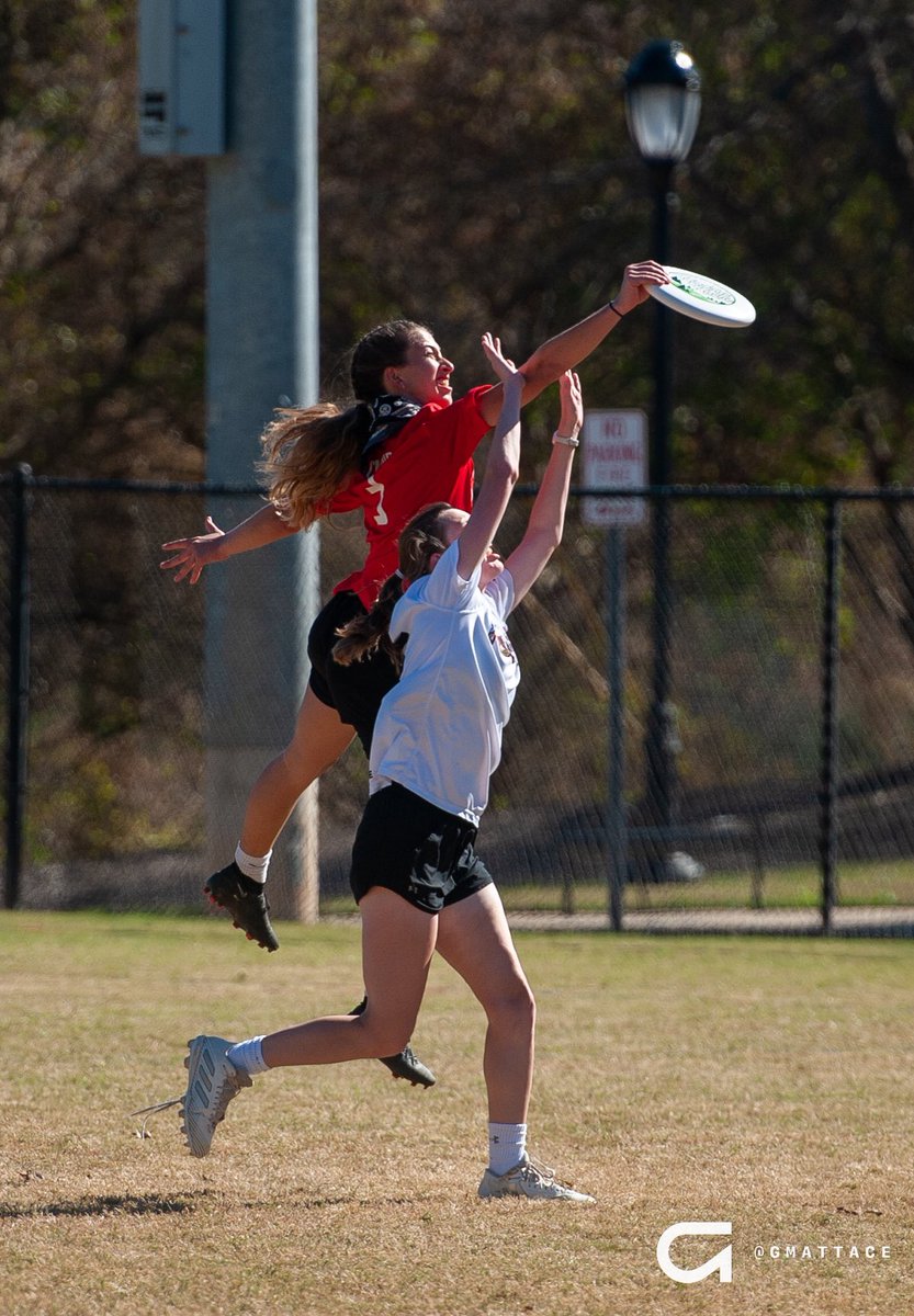 Gino Mattace tweet media